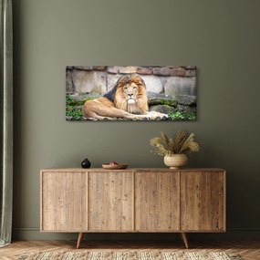 Tablou cu leu (120x50 cm)