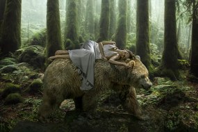 Fotografie Dream Bear, Marcel Egger