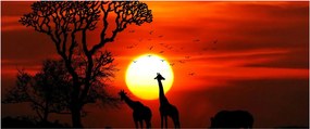 Tablou - Siluete animalelor la apus de soare (120x50 cm)