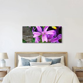 Tablou -flori de câmp (120x50 cm)