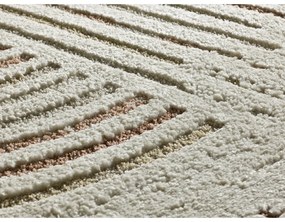 Covor crem 160x230 cm Candela – Universal
