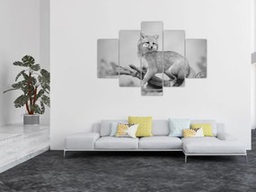 Tablou - Vulpe gri (150x105 cm)