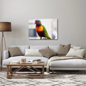 Tablou cu papagal (70x50 cm)