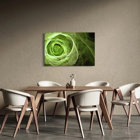 Tablou - Abstract Rose Green (90x60 cm)