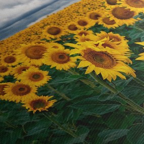 Tablou câmpului de floarea soarelui (cu ceas) (90x30 cm)