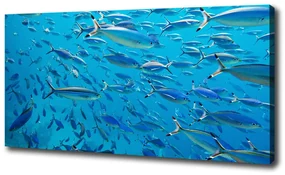 Print pe canvas Pește coral