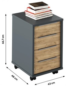 Container, grafit/stejar artisan, RIOMA NEW TYP 14