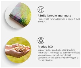 Tablou din plută - Maps: Colourful Finesse [Cork Map]