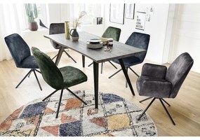 Set de 2 scaune de dining NEXORO, antracit