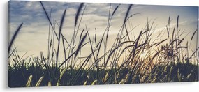 Tablou cu flori de câmp (120x50 cm)