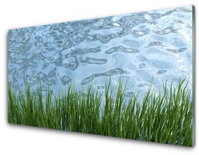 Tablouri acrilice Iarbă Apa Natura Verde Albastru
