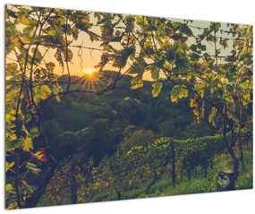 Tablou - Podgorii (90x60 cm)