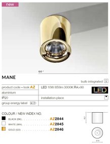 Spot LED aplicat tavan/plafon MANE alb