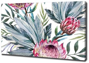 Tablou canvas Protea