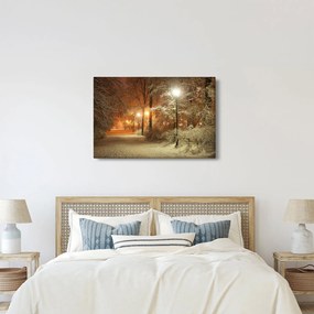 Tablou - Parcul înzăpezit (90x60 cm)