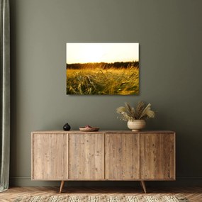 Tablou pe sticlă iarba cu rouă (70x50 cm)