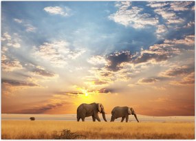 Tablou - Elefanți rătăcind în savană (70x50 cm)