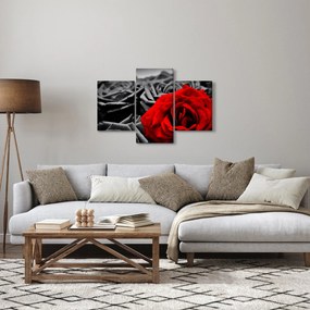 Tablou - Trandafir (90x60 cm)