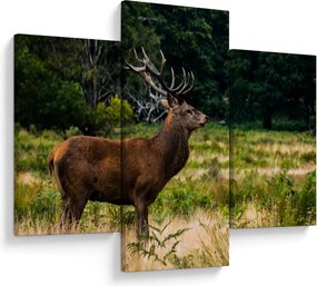 Tablou cu cerb (90x60 cm)