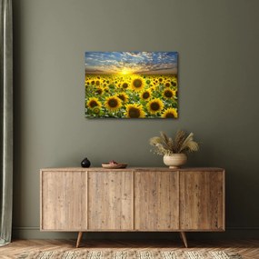 Tablou - Floarea-soarelui la apus de soare (70x50 cm)