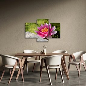 Tablou - Lotus (90x60 cm)