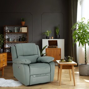 Fotoliu de relaxare, piele / piele ecologică neomint, VIVAN