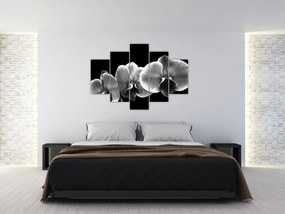 Tablou floare de orhidee (150x105 cm)