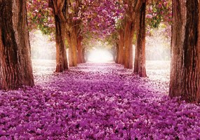 Fototapet - Alee cu flori violeți (254x184 cm), în 8 de alte dimensiuni noi