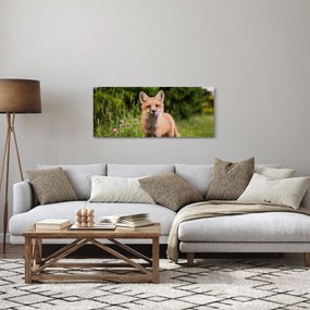 Tablou cu vulpe (120x50 cm)