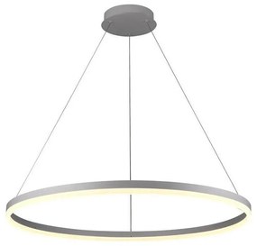 Lustră LED dimabilă pe cablu Brilagi CIRCLE LED/55W/230V 3000-6500K argintiu + telecomandă