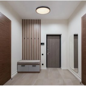 Plafonieră LED SAMMI LED/12W/230V 3000/4500/6000K Globo 41765-12