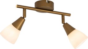 Plafoniera clasică cu spoturi aurie cu sticlă mată cu 2 lumini - Madi