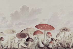 Tapet Mushrooms, Vintage, Rebel Walls