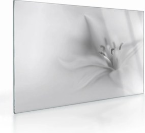 Tablou pe sticlă - Crin delicat (70x50 cm)