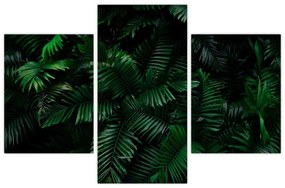 Tablou - Păpădii tropicale (90x60 cm)