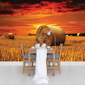 Fototapet - Câmp (152,5x104 cm)
