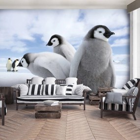 Fototapet - Pinguini (254x184 cm), în 8 de alte dimensiuni noi