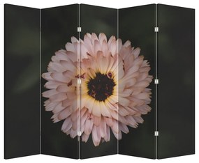 Paravan - Floare portocalie (210x170 cm)