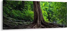 Tablou - Copac bătrîn cu rădăcini (120x50 cm)
