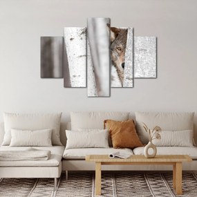 Tablou - Lup (150x105 cm)
