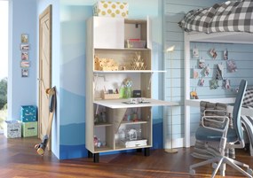 Masă PC Home (alb lucios + Stejar sonoma). 1124934