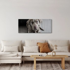 Tablou cu cățeluș (120x50 cm)
