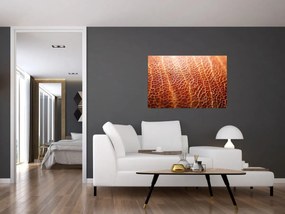 Tablou - Detaliu de textură (90x60 cm)