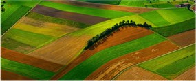 Tablou - Lan, luncile (120x50 cm)