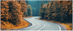Tablou - Drumul cu serpentine (120x50 cm)