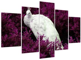 Tablou - Păun alb (150x105 cm)