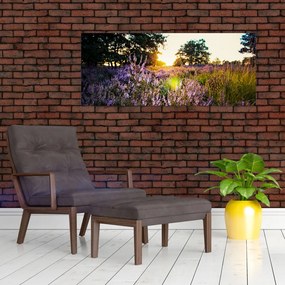 Tablou - Câmp cu lavandă (120x50 cm)