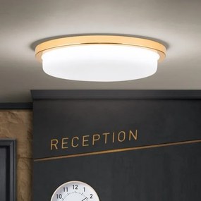 Plafoniera LED moderna LEROX 30cm aurie 24K