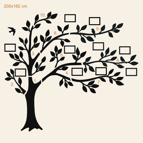 DUBLEZ | Arbore genealogic cu poze (10 rame foto)