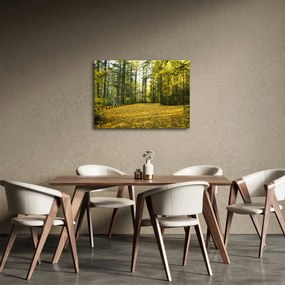 Tablou - pădurea toamna (70x50 cm)